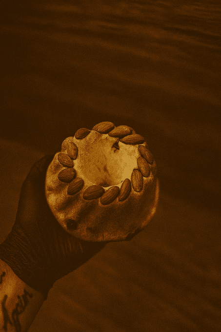 LE KOUGELOPF MOYEN*