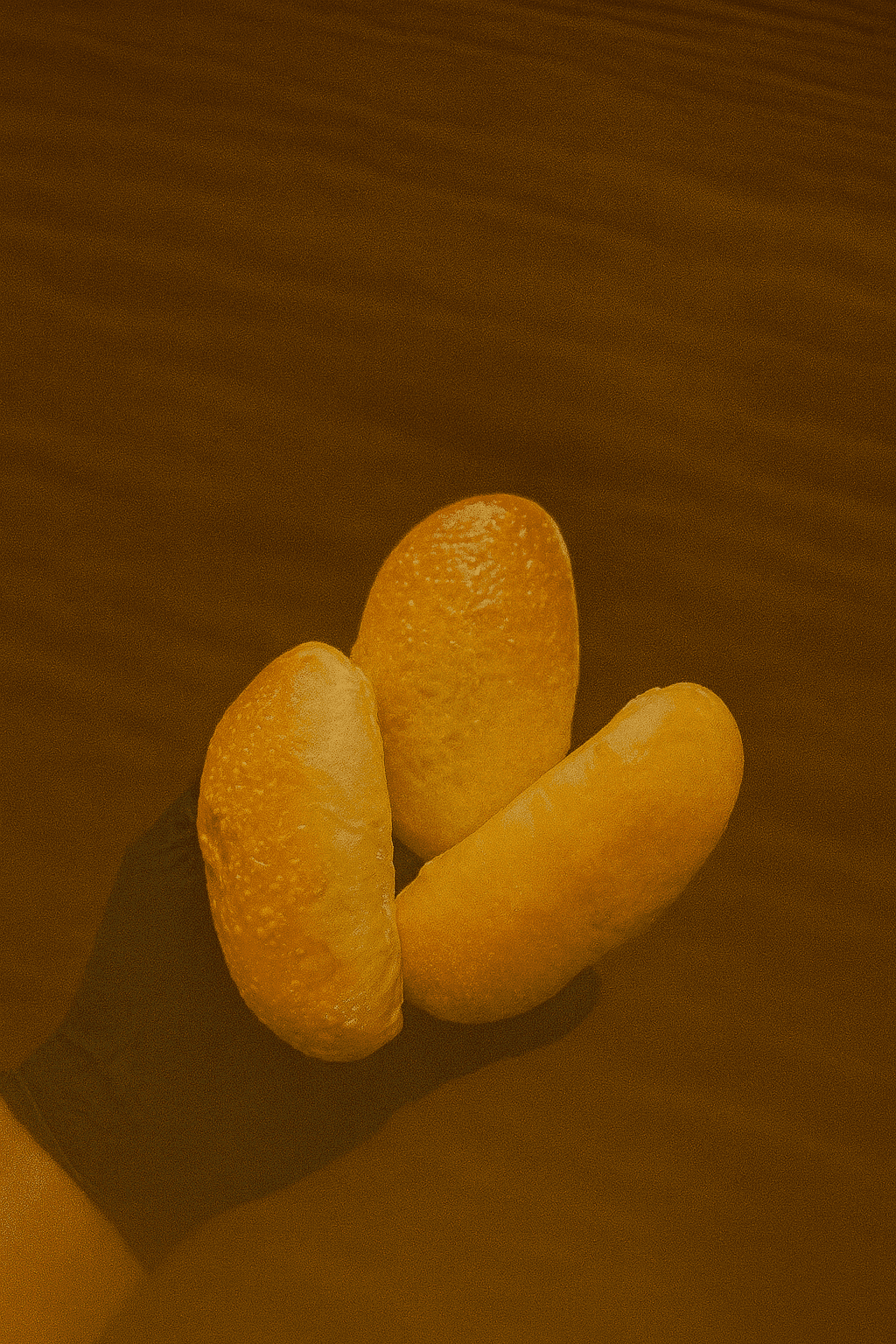 LA NAVETTE BRIOCHÉE*