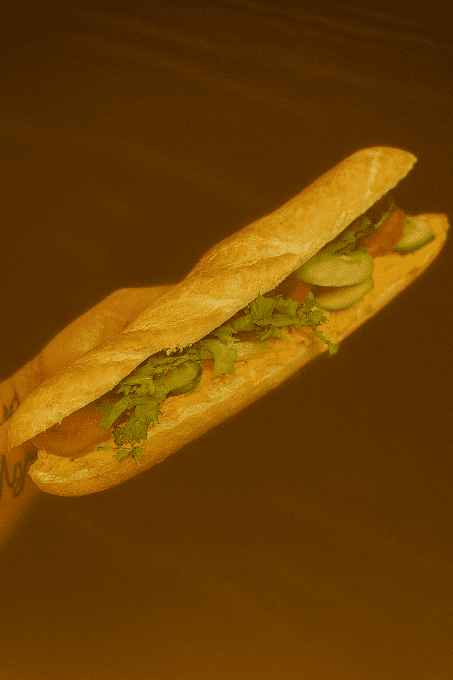 LE SANDWICH VIENNOIS