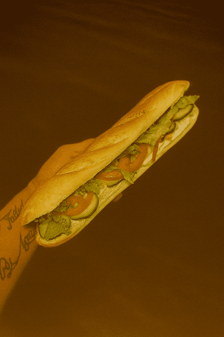 LE SANDWICH VIENNOIS