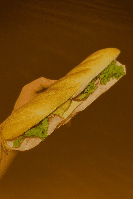 LE SANDWICH VIENNOIS